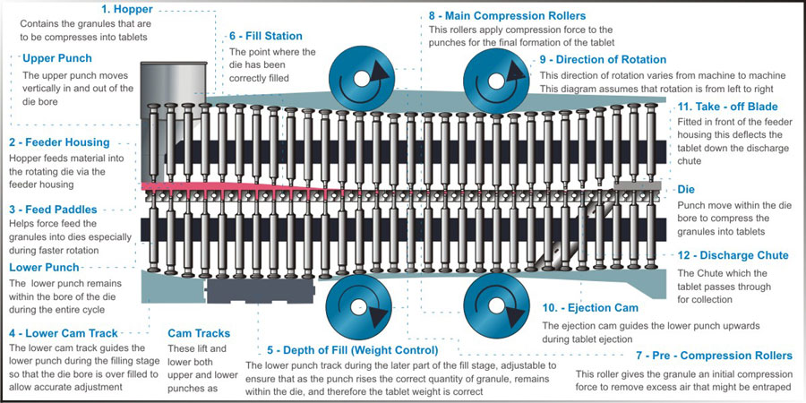 Tablet  Press: Tablet Cycle