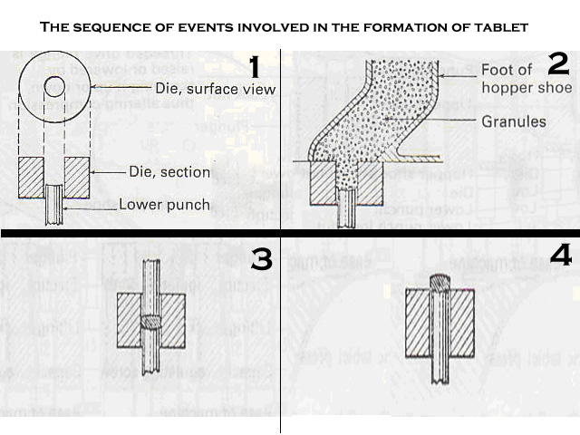 Tablet Press: Image of the sequence of events involved in tablet formation