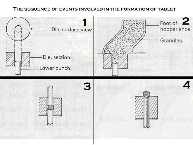 Tablet Press: Image of the sequence of events involved in tablet formation
