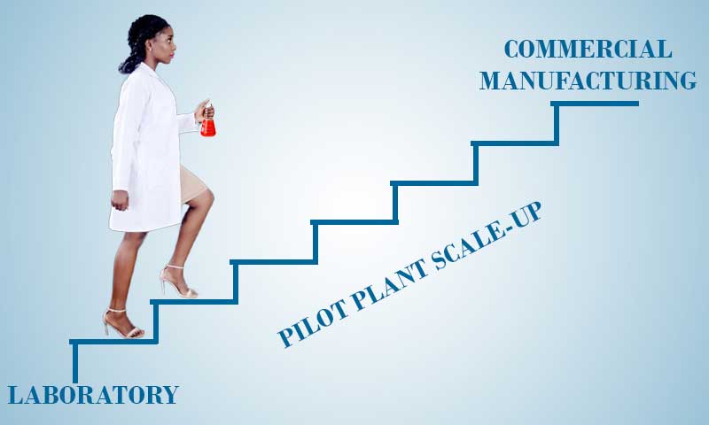 pilot-plant-scale-up