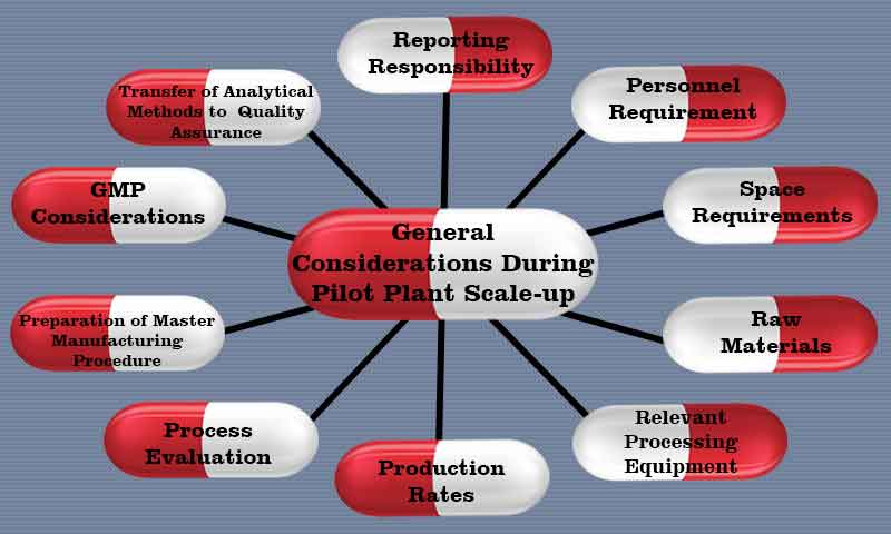 General considerations during pilot plant scale up