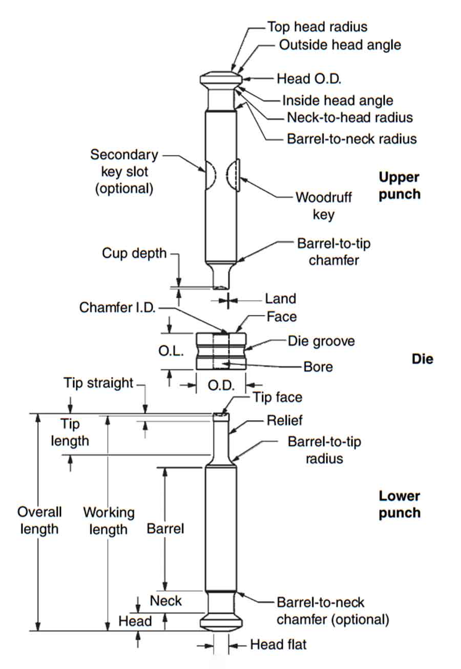 Tablet press: Labelled diagram of a tablet press tooling