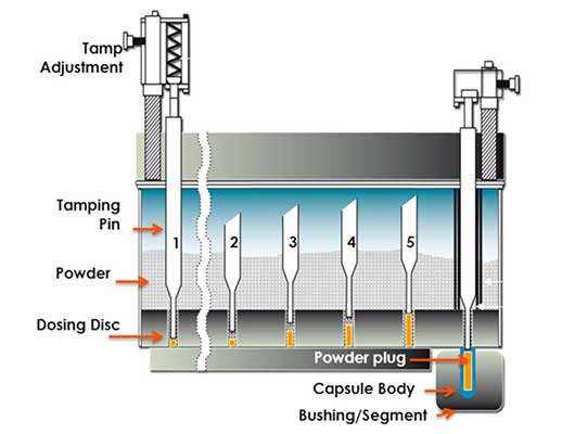 Hard gelatin capsules - Tamping/ Dosing disk filling principle