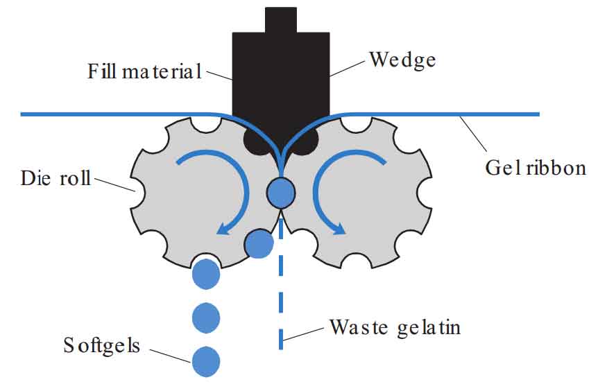Manufacture of soft gelatin capsules: Softgel formation mechanism (rotary die mechanism)