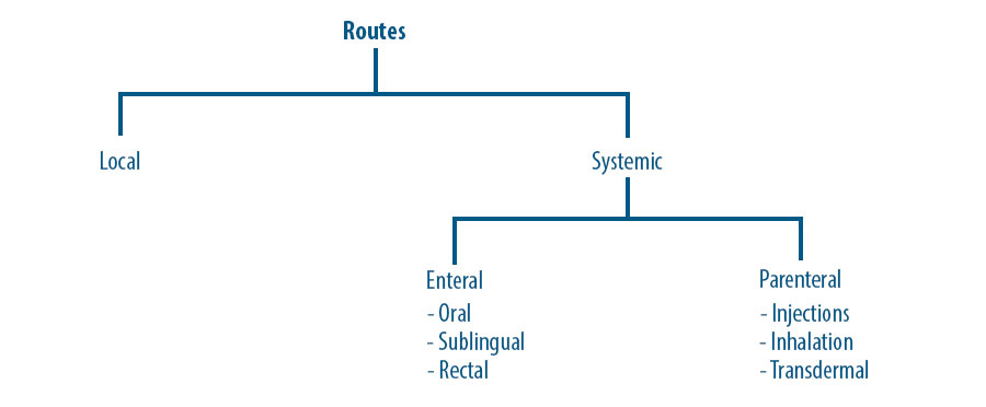 Image showing classification of the various routes of drug administration