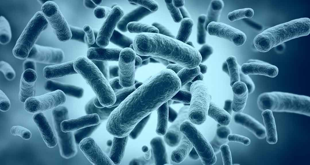 Featured image for advantages and disadvantages of microorganisms