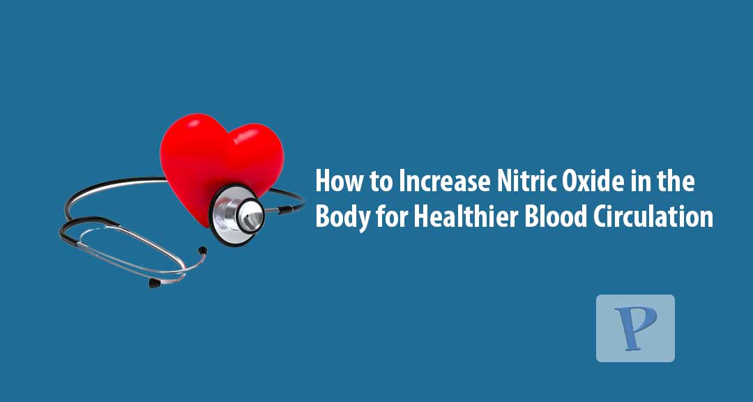 Featured image for How to Increase Nitric Oxide in the Body for Healthier Blood Circulation