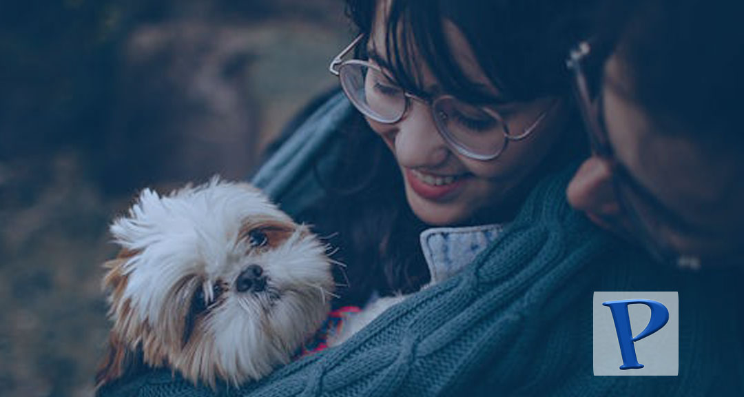 Featured image for: Exploring the Connection Between Pets and Mental Health